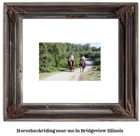 horseback riding near me in Bridgeview, Illinois